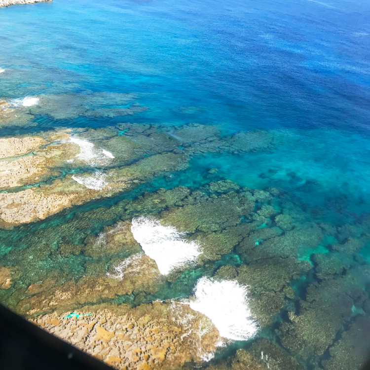 隆起サンゴ礁の島