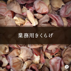 業務用きくらげ