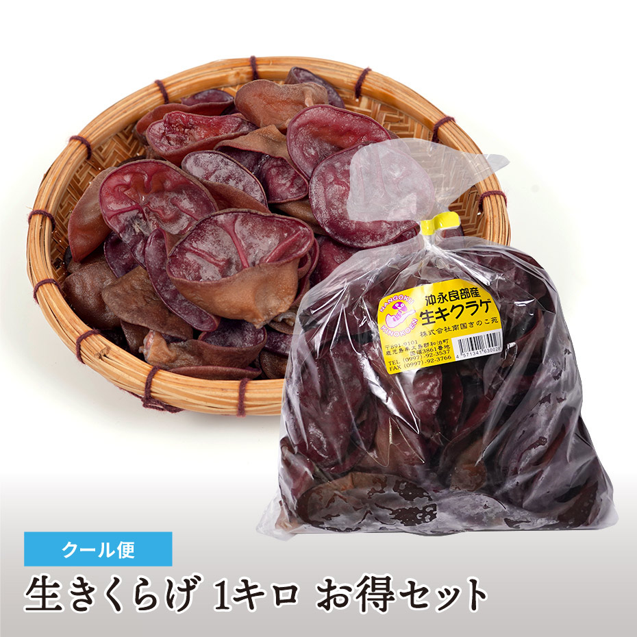 【大容量・業務用】生きくらげ 1キロ お得セット